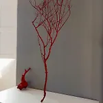 Il Palazzo 3*