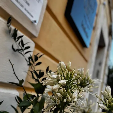 Il Palazzo سيريلا