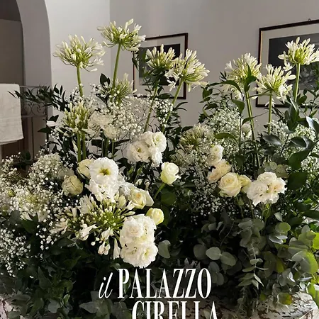 فندق مبيت وإفطار Il Palazzo 3*